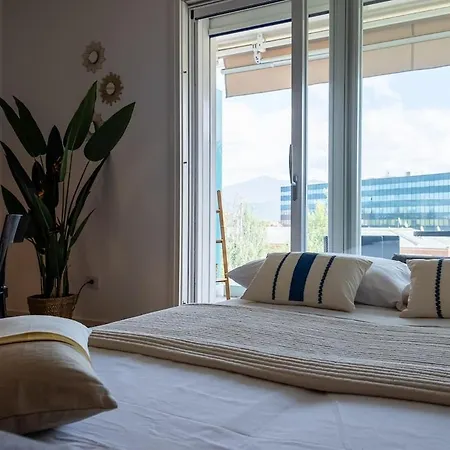 La Dimora Dei Bigi Vacanze Pisa